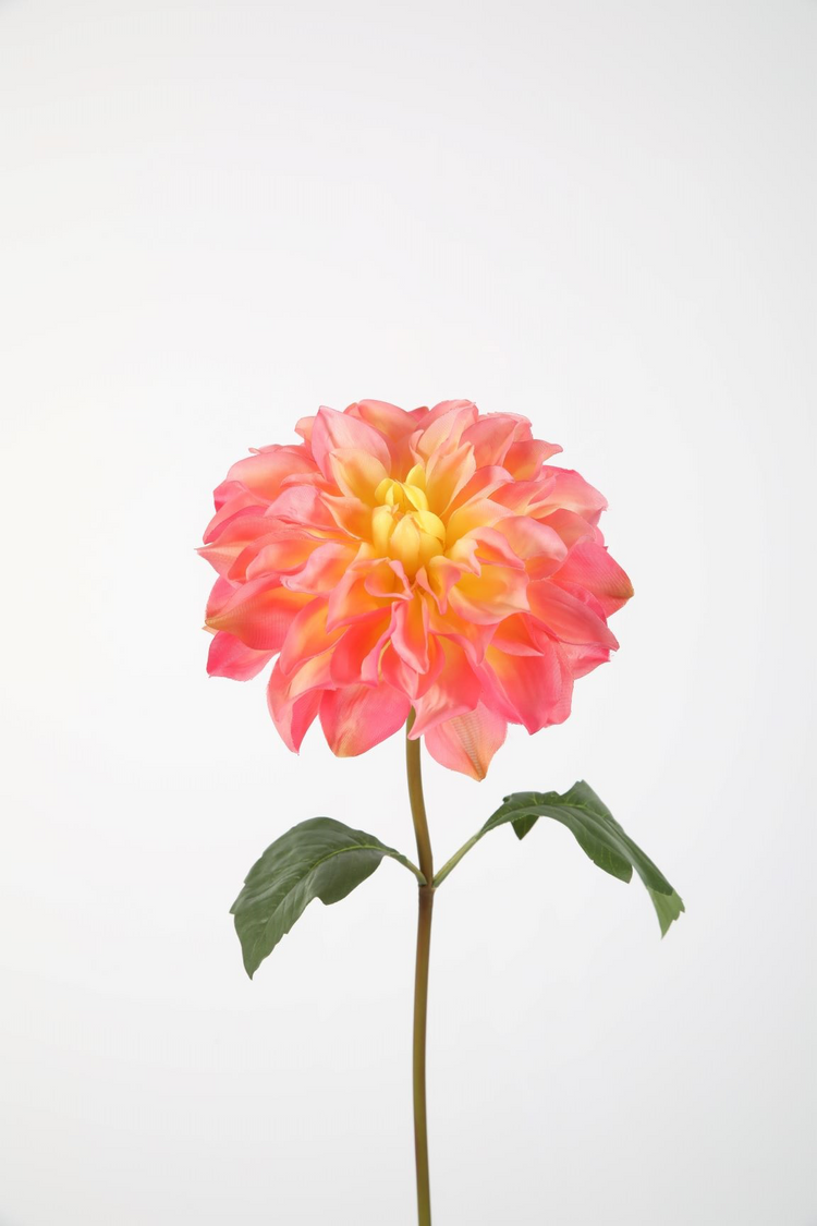 Dahlia Stem 80 cm koraal