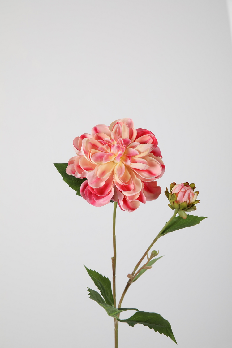 Dahlia Diva Spray 57 cm roze