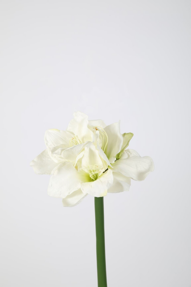 Amaryllis Spray 74cm
