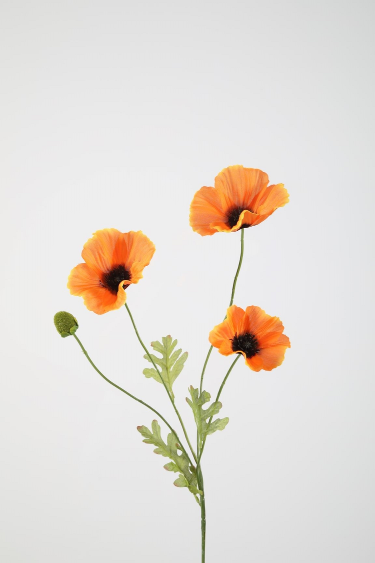 Poppy Spray Oranje