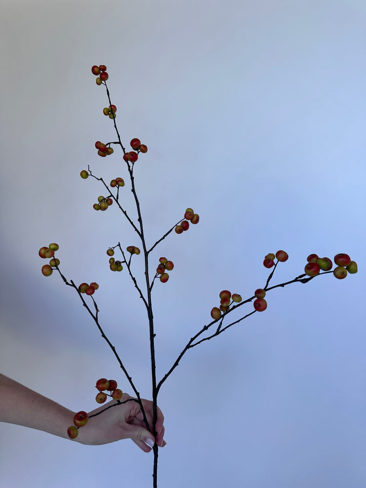 Appeltjes Tak oranje (110cm)