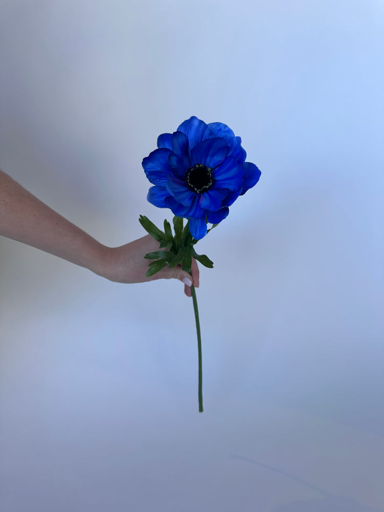 Tuinanemoon Blauw