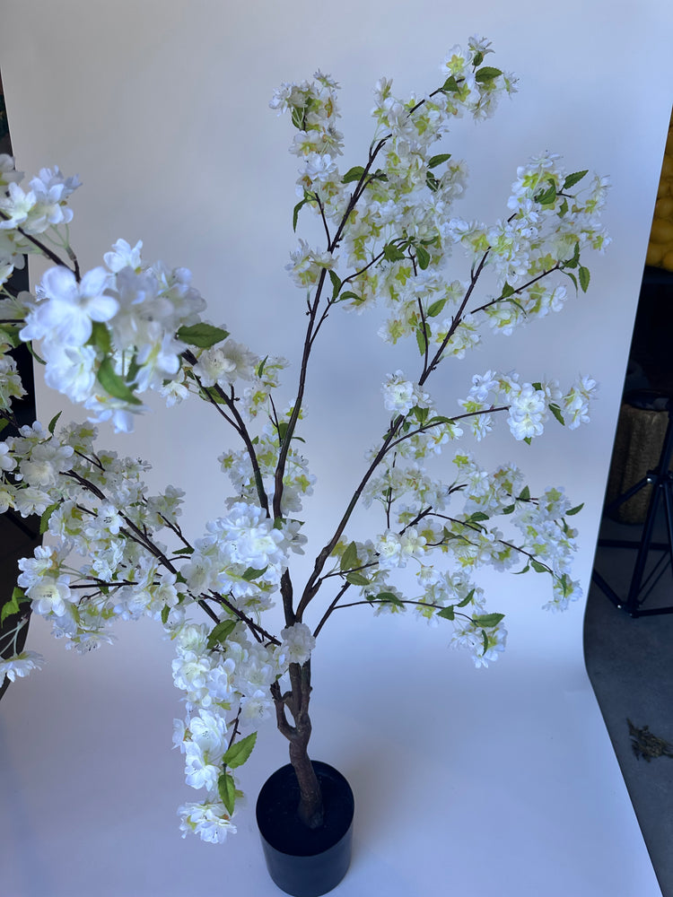 Kersenbloesem (140cm)