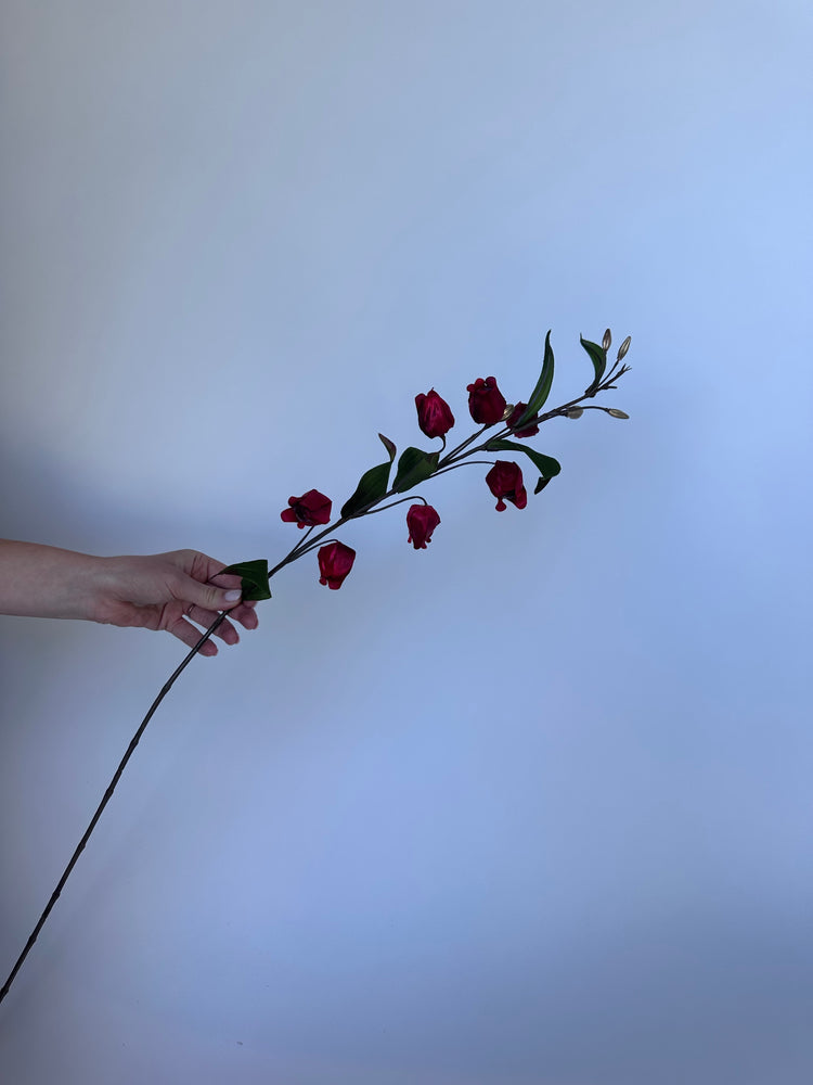 Fuchsia Bloemetjes Rood