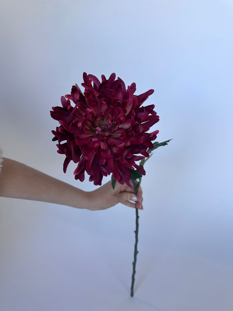 Wilde Dahlia Paars