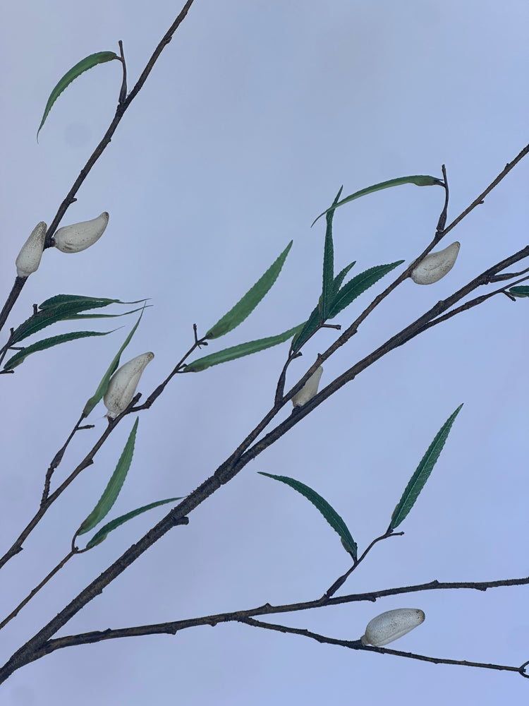 Voorjaarstak (105cm)