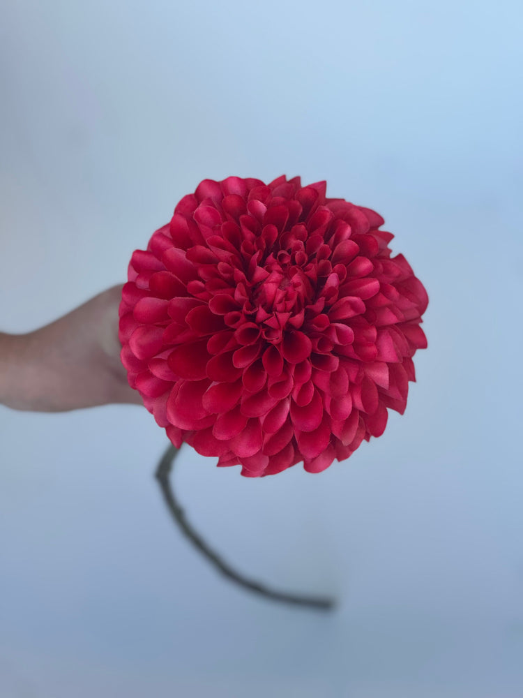 Dahlia Donkerroze