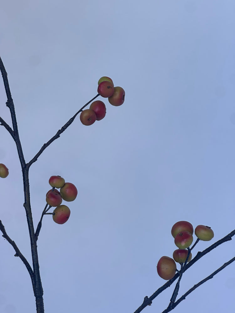 Appeltjes Tak oranje (110cm)