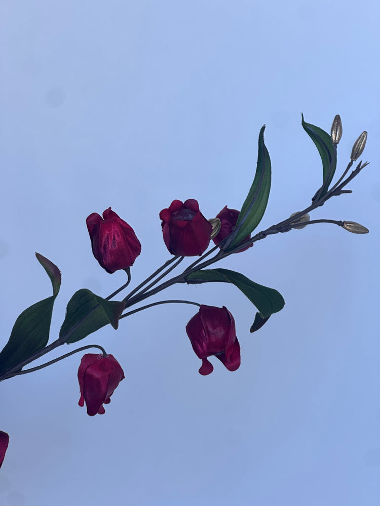 Fuchsia Bloemetjes Rood