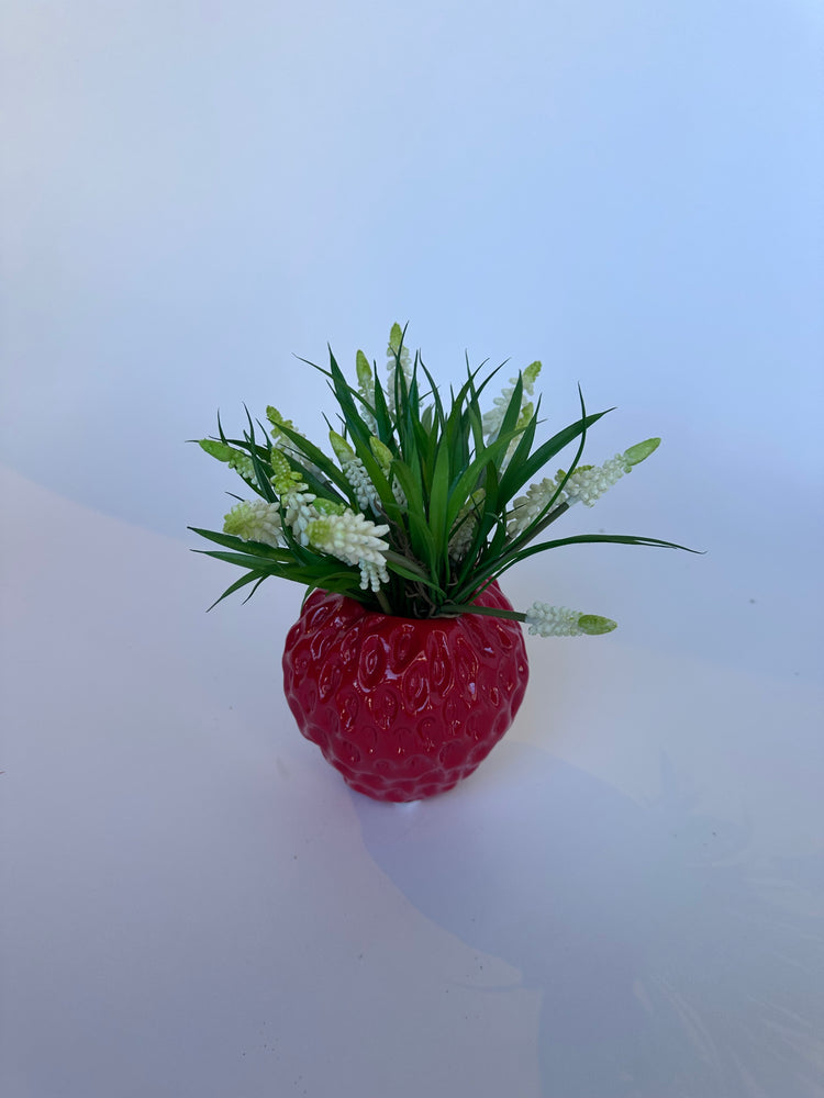 Aardbeienvaasje Met Besjes