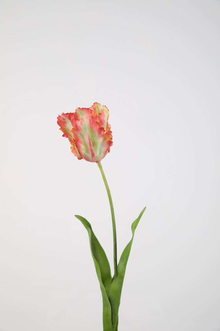 Real touch tulp roze met rood