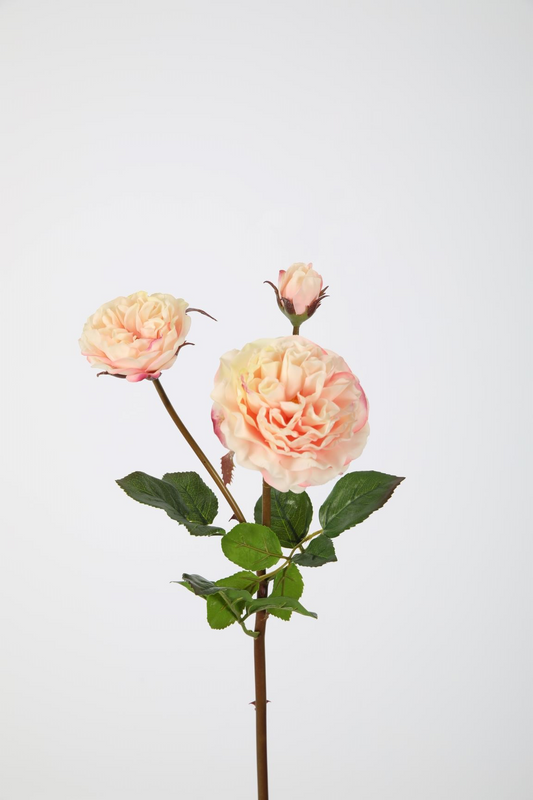 Garden Wild Rose 83 cm soft pink