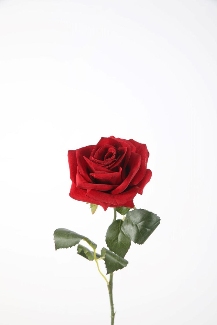 Roos rood