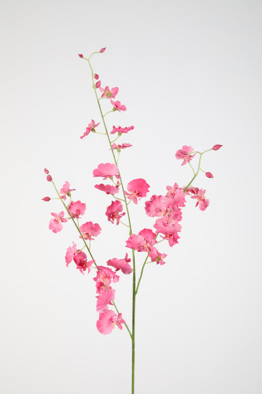 Dancing orchid pink