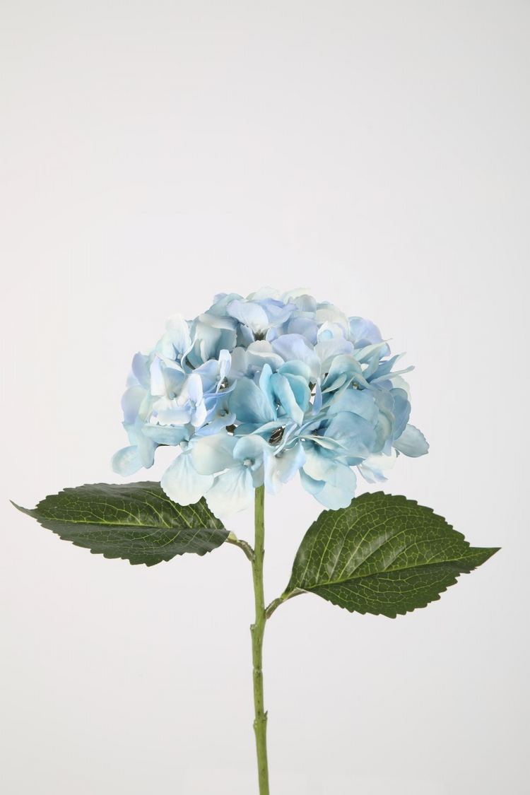Hydrangea Stem 70 cm baby blauw