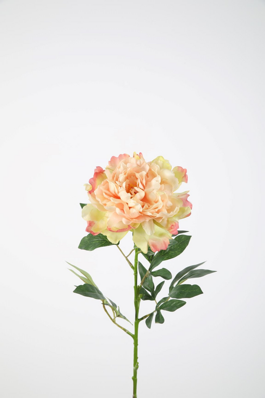 Peony Single Stem 82 cm zacht perzik