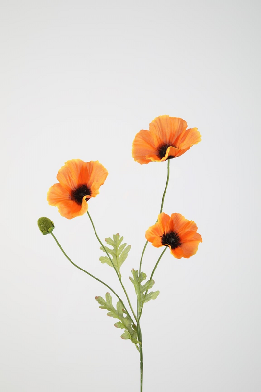Poppy Spray Oranje