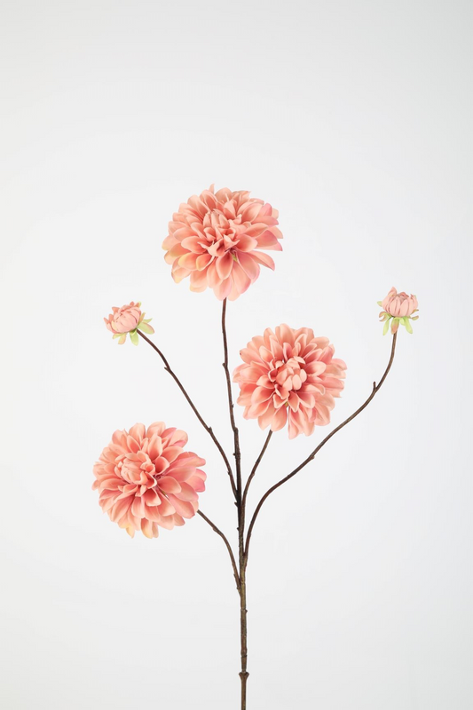 Dahlia licht roze