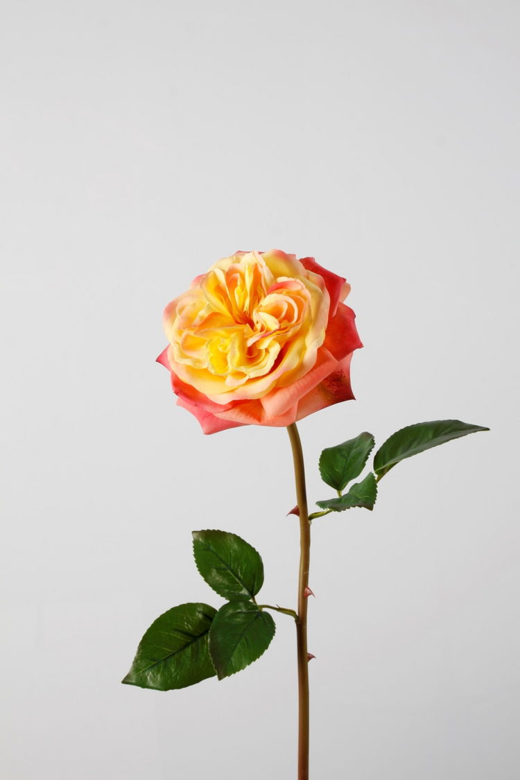 Rose Real Touch Peach
