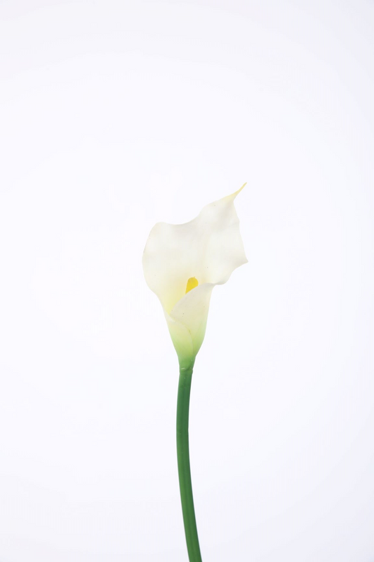 Calla Lily 65cm