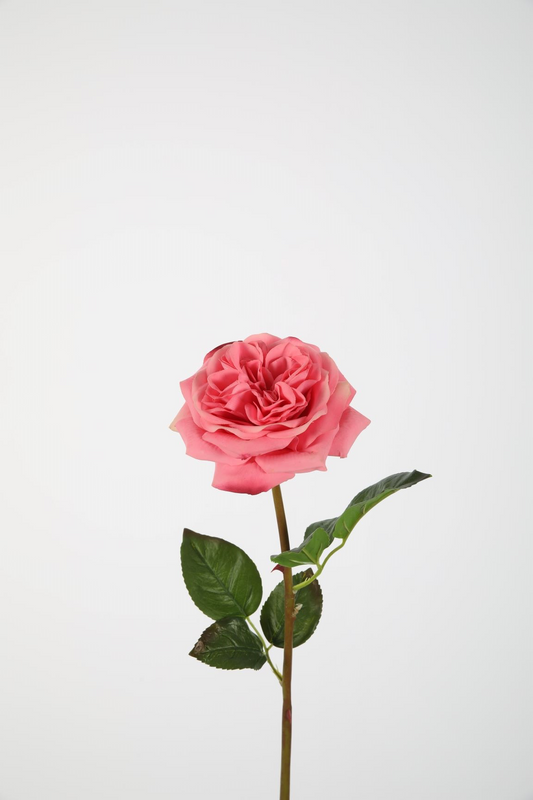 Pink rose real touch