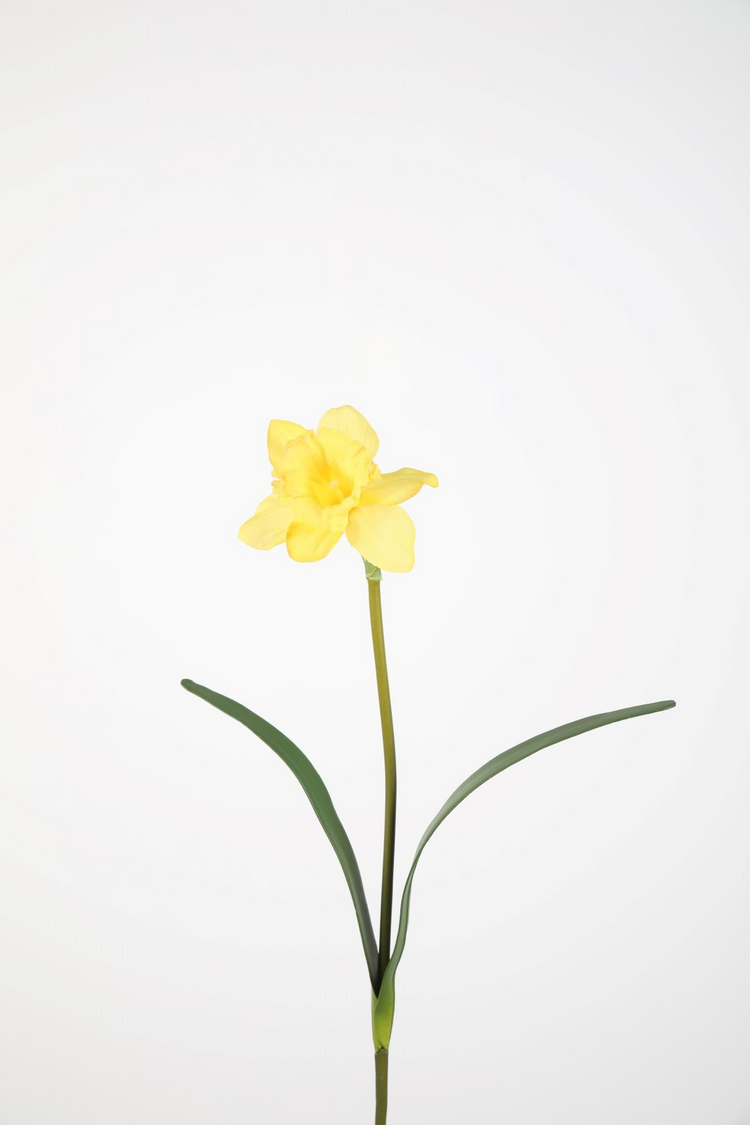 Daffodil Stem 69cm