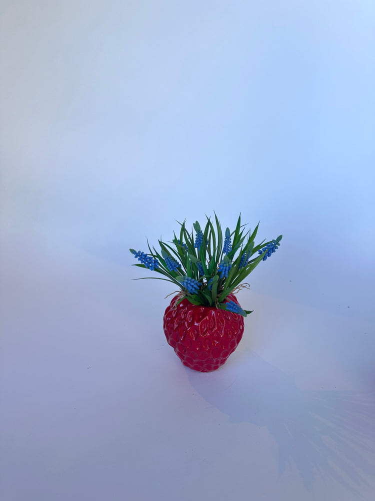 Aardbeienvaasje Met Besjes