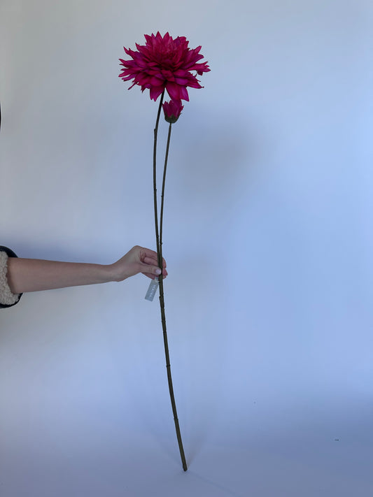 Wilde Dahlia Roze