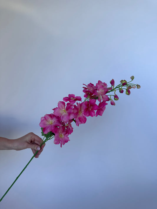 Delphinium Roze (95cm)