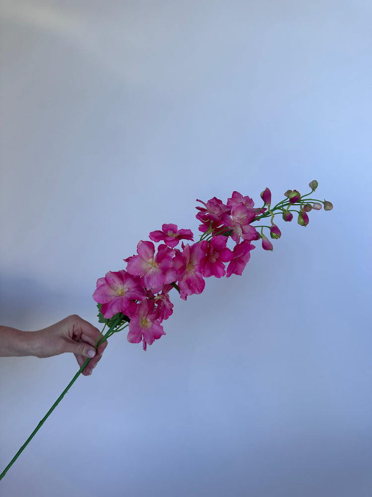 Delphinium Roze (95cm)