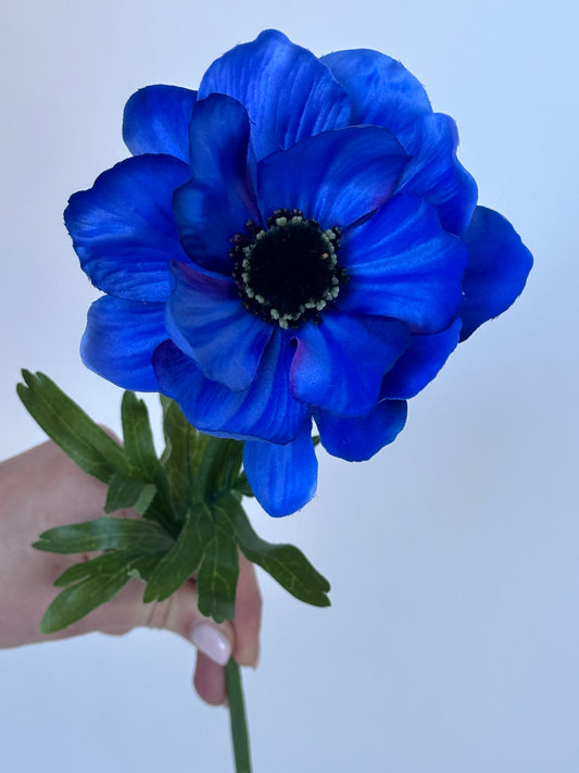 Tuinanemoon Blauw