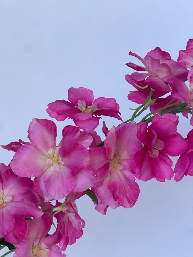 Delphinium Roze (95cm)