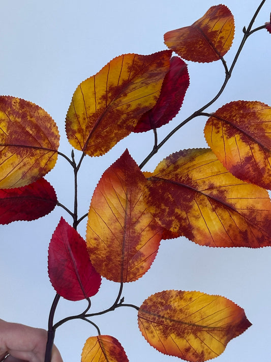 Herfstblad