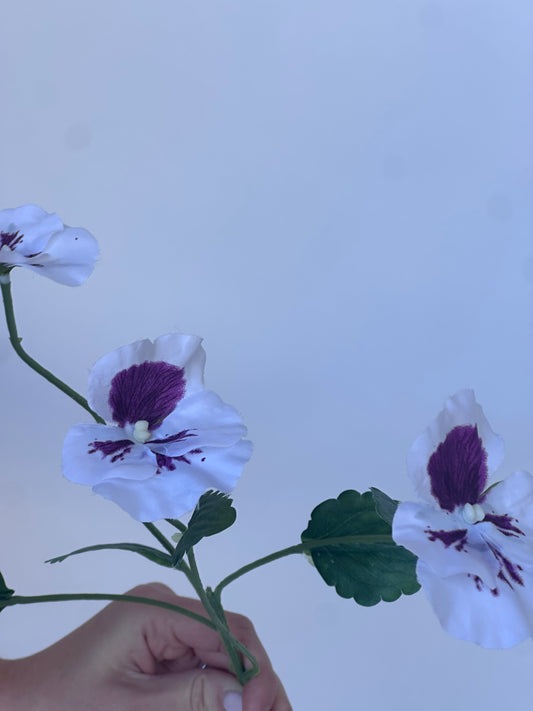 Viooltje (67cm)