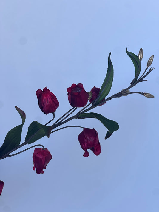 Fuchsia Bloemetjes Rood